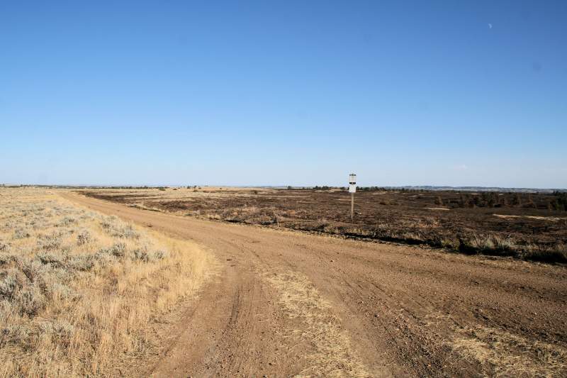 Carl's Camp Road, you can see where the wolf creek fire stopped