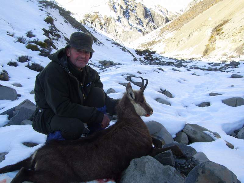 Chamois cull hunt - Public land