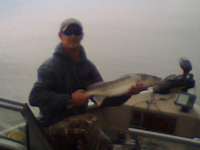 chilly walleyes