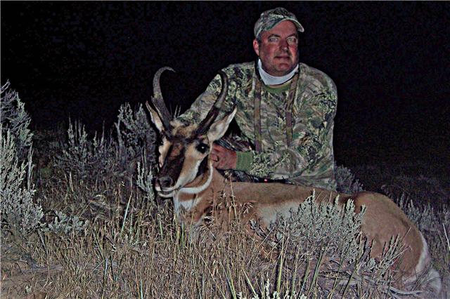 Colorado archery antelope 2009