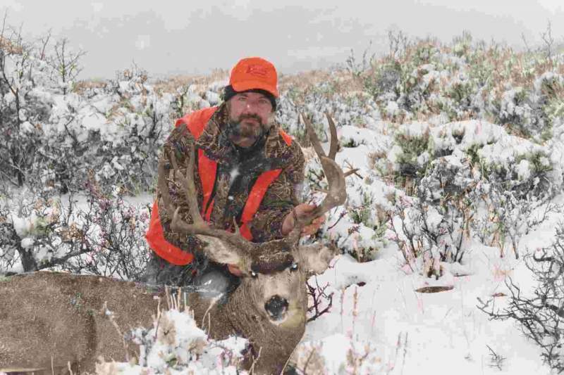 Colorado Buck