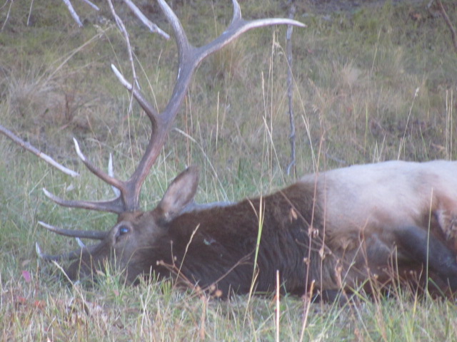 Cruses Basin Hunting Trip 2015 011