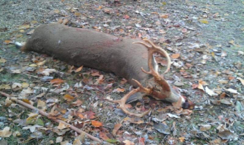 Dads 2014 bow