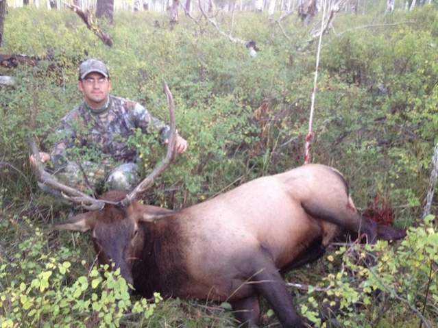 Dad's Bull 2012