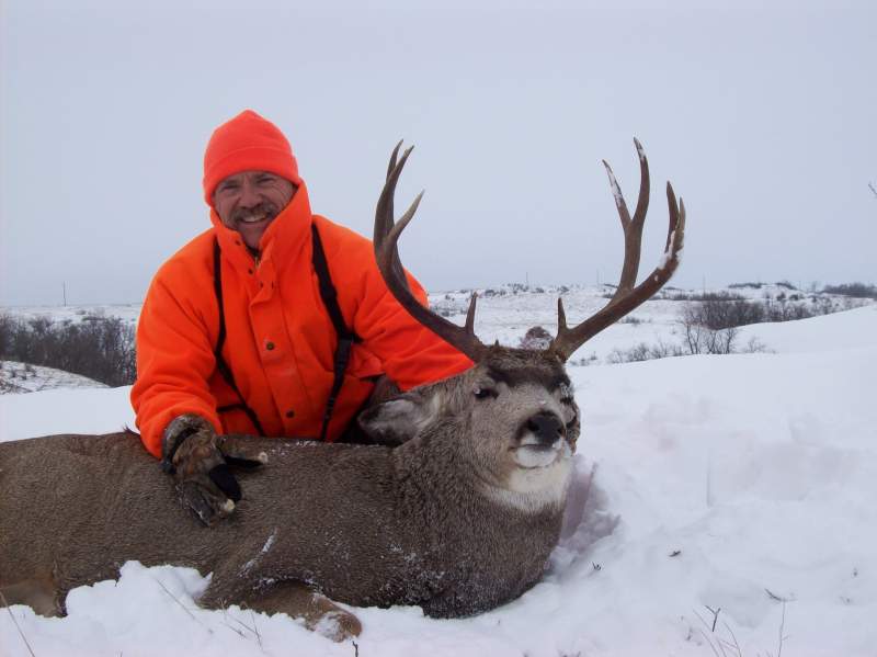 Dads ND Mule Deer