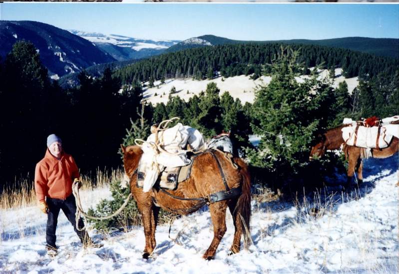 Dave with his horses packing out the bull I took the day before on the Trout Creek/Magpie divide.