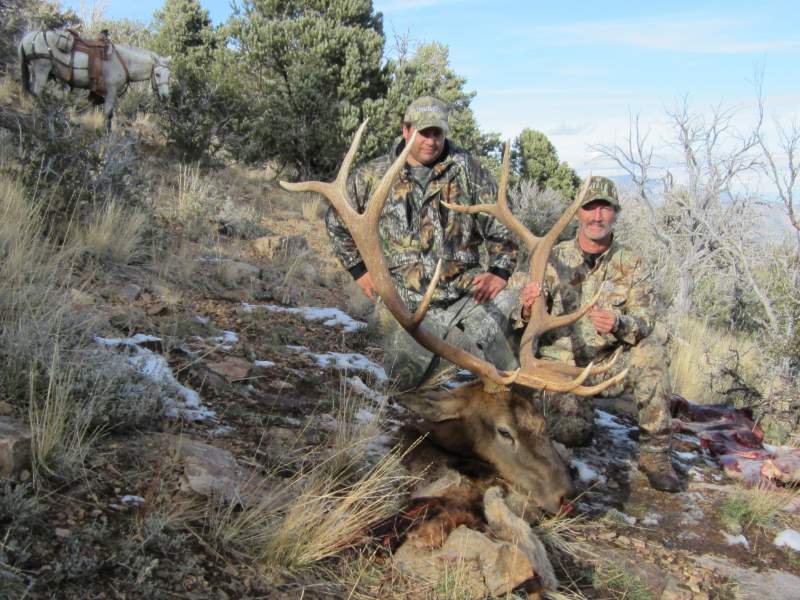 Dave's 2012 NV bull. 2nd to the last day.