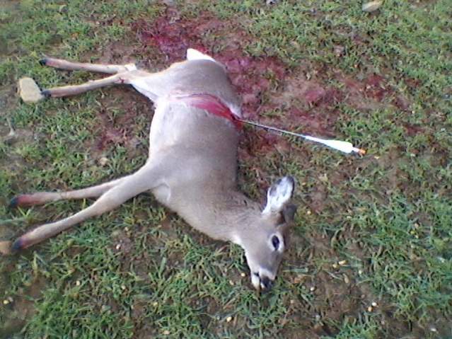 Dec 24 2013 Archery