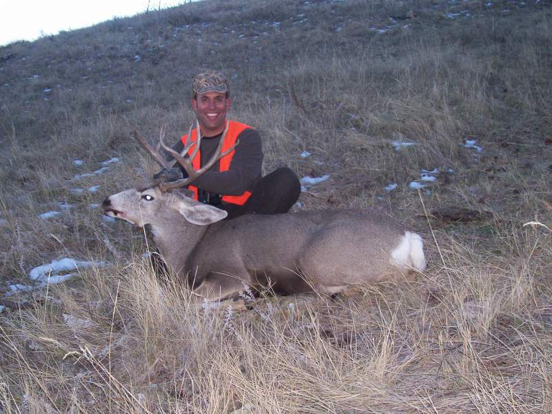 Decent SD muley