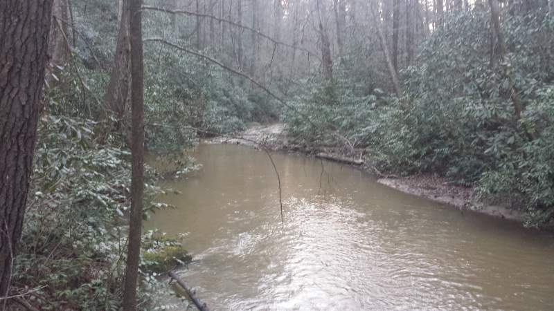 Deep Carolina holler