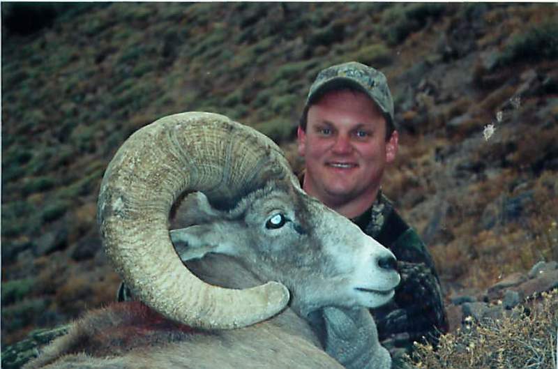 Desert Sheep - Nevada Unit 161 (2002)
