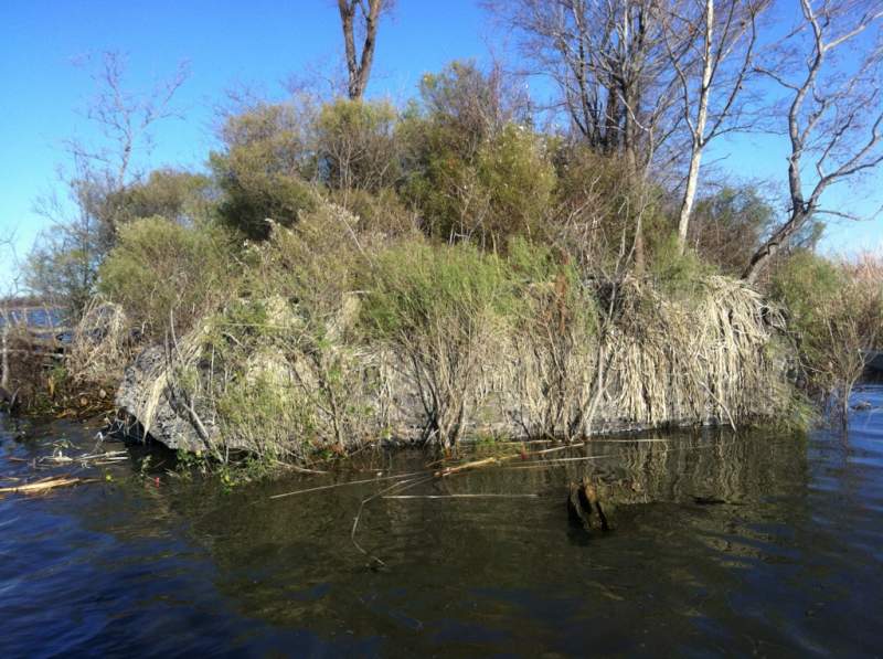 duck blind