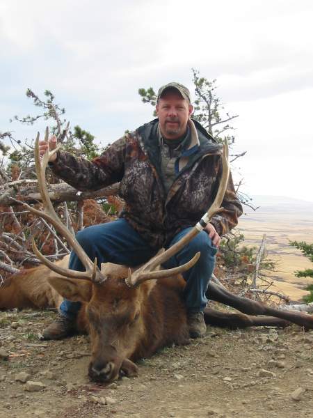 Elk 2007