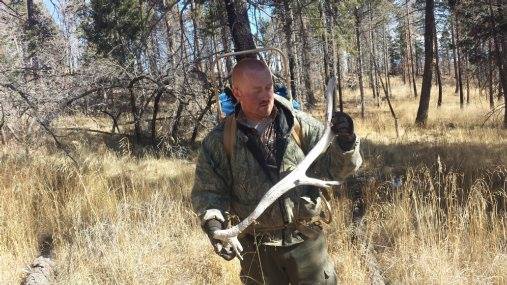 Elk shed down in NM