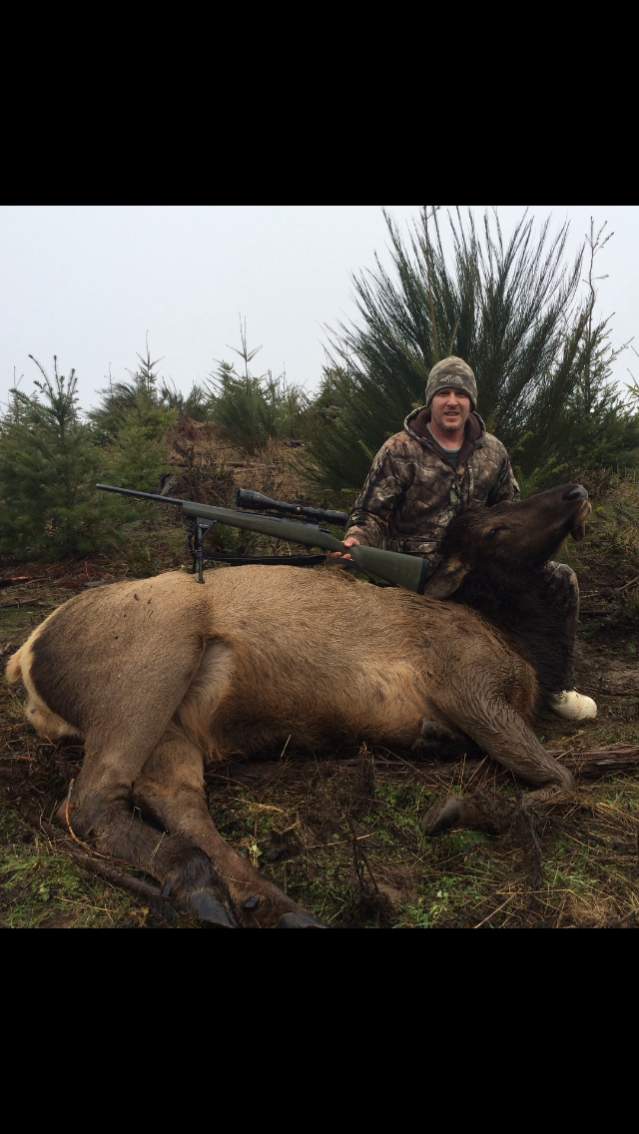 February 2017 Roosevelt Cow Elk