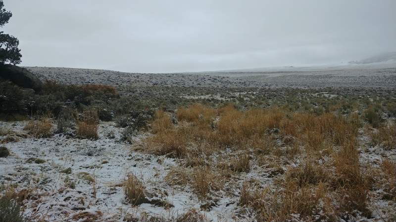 First morning of hunting. Snow! Sept 25th