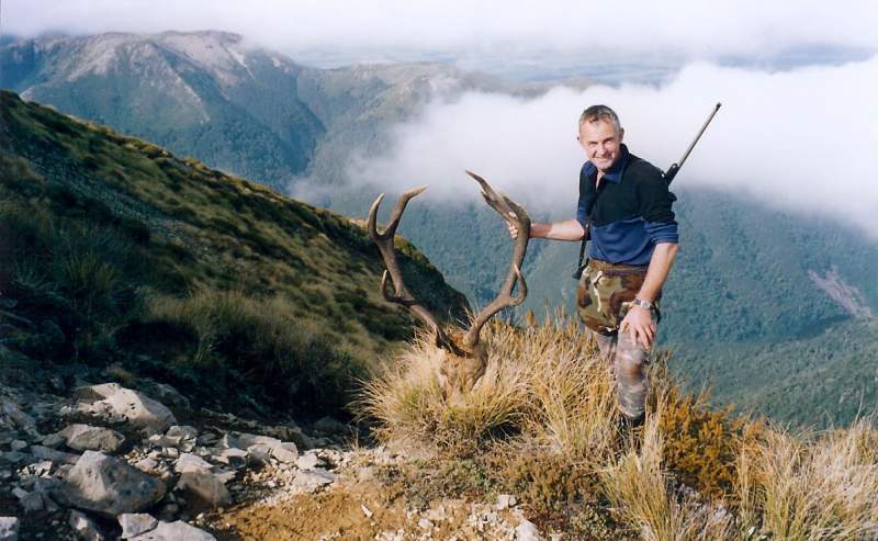 Free range Red stag ( Public land )