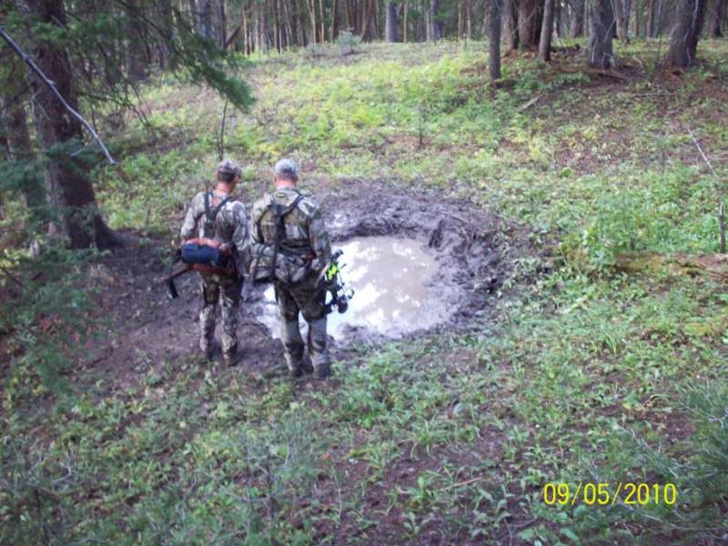 Fresh Wallow