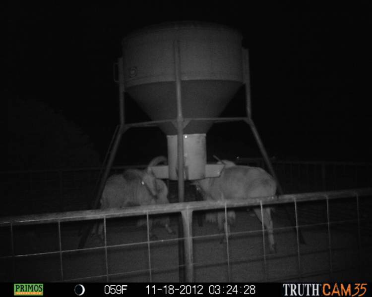 Game Camera