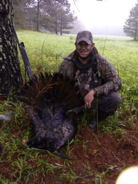 georgia bird
