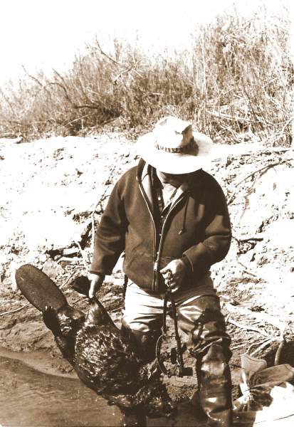 Grandpa trapp n beaver