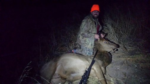 Guided my uncle on a New Mexico elk hunt, day two had 3 heards located and he took this nice cow.