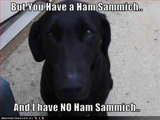 ham sandwich