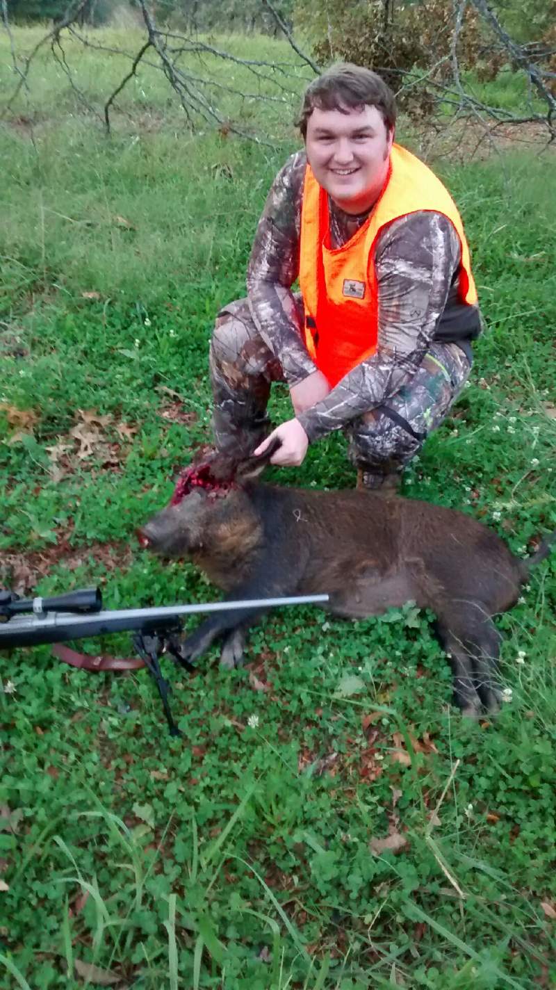 Hog from Chat. WMA