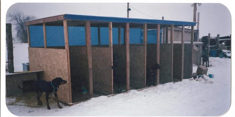 home made dog kennels