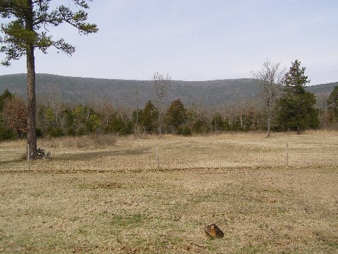 horsepasture