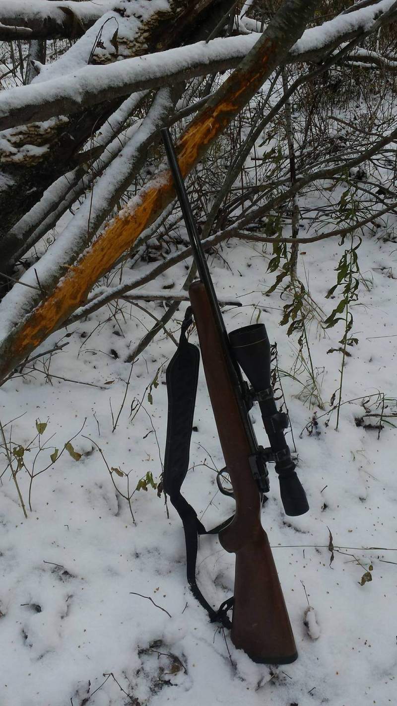 I gave Cooper my GPS and said go to marker "rub 17" I had tracked a buck through past the rub the previous day. He worked his way to the mar