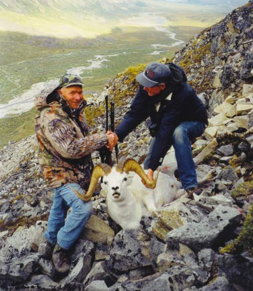 I guided Bill from northern Michigan for this beauty of a dall sheep in the Nutzotin Mountains of Alaska.  I was working for Ray McNutt in 1998.