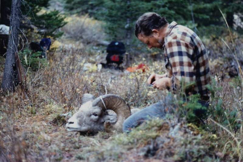 I spent some time in camp the day after I got the ram to rest up for the trip out and to fully cape the head and trim the skull to keep the weight dow