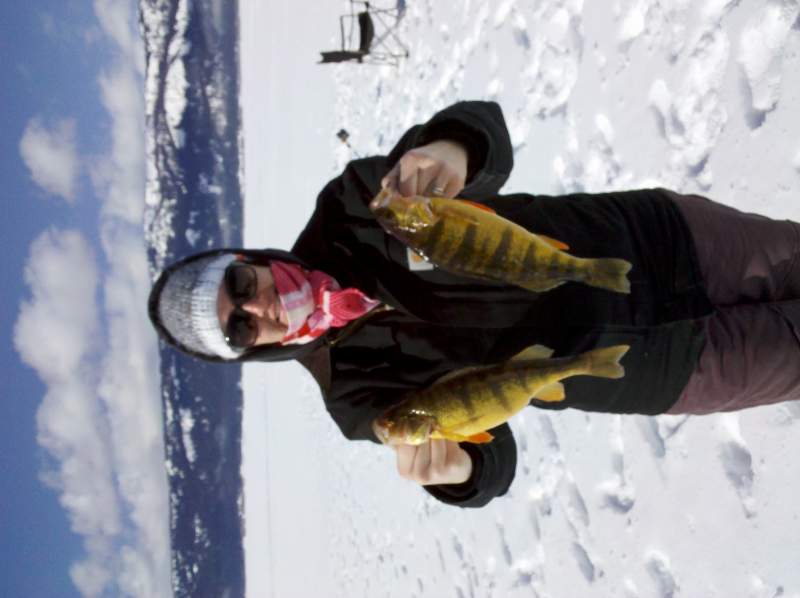 Ice fishing 2012