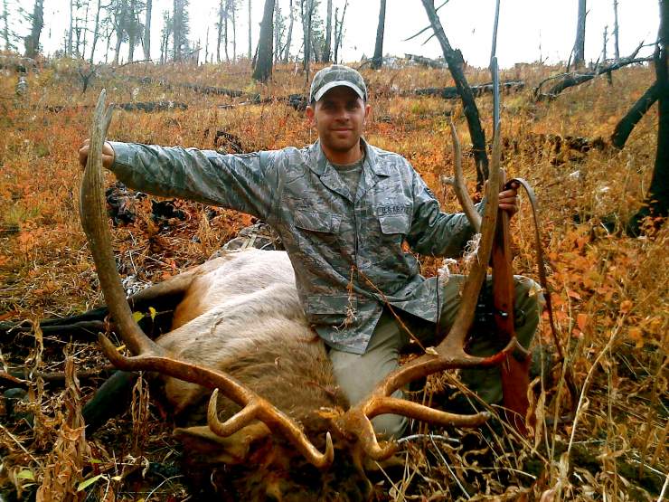 Idaho Bull