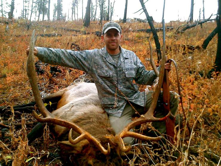 Idaho Bull