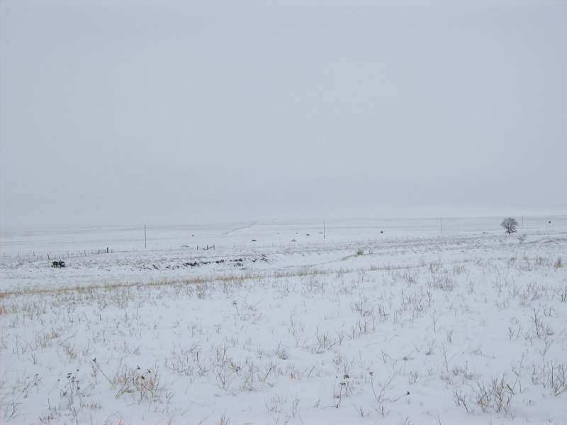 in 2009 is snowed like crazy in MT
