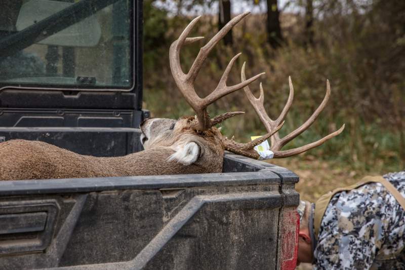 iowa bow buck