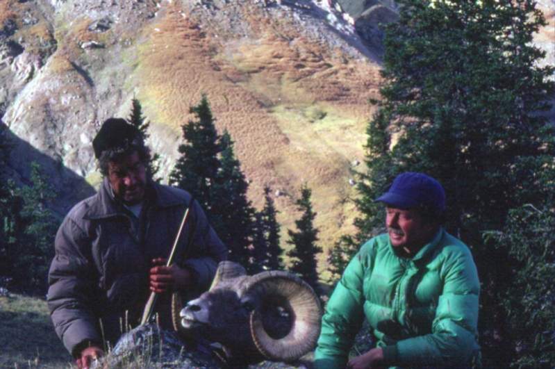 Jim Ford's Wyoming Bighorn, taken at close to 12,000 feet.  September, 1980.