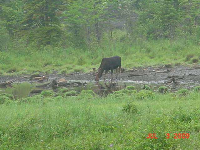 July 2009 Maine