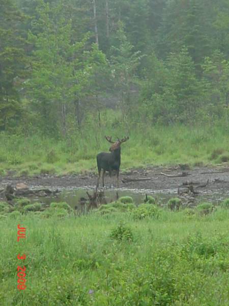 July 2009 Maine