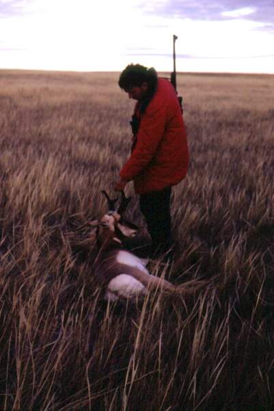 Just a nice picture of a buck I took in eastern Montana in the 60's.
