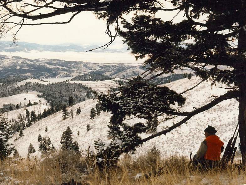 Looking for elk.  Magpie Gulch in the 1980's.