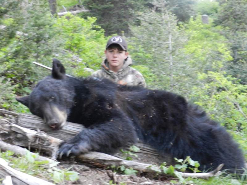 Matts 2012 sprig Bear