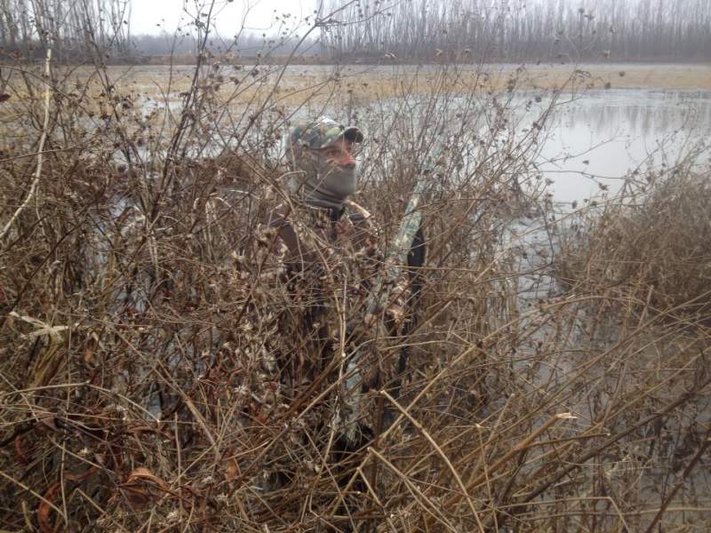 Missouri duck hunting