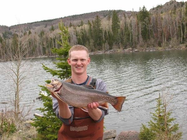Monster Brook Trout...