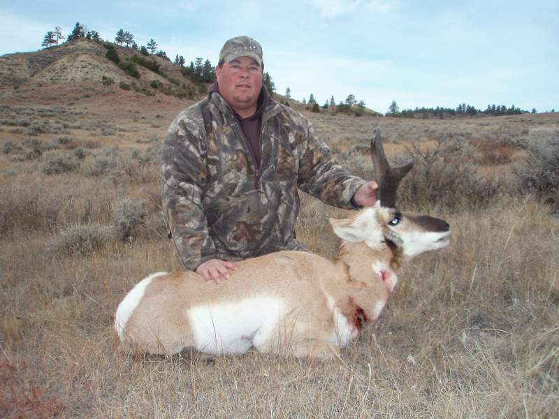 montana 2010