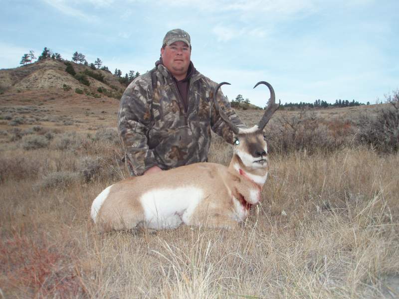 montana 2010