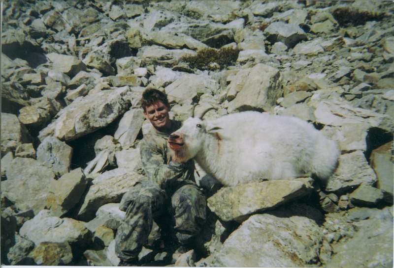 Montana Mountain Goat