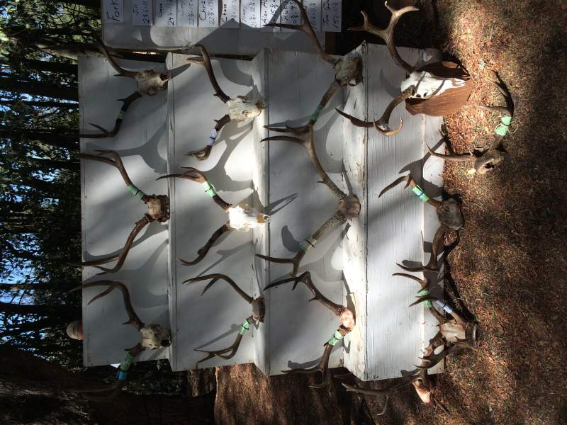 More bucks from our local buck contest. All of these are blacktails from private and public land. There were some real monsters killed this year. The 